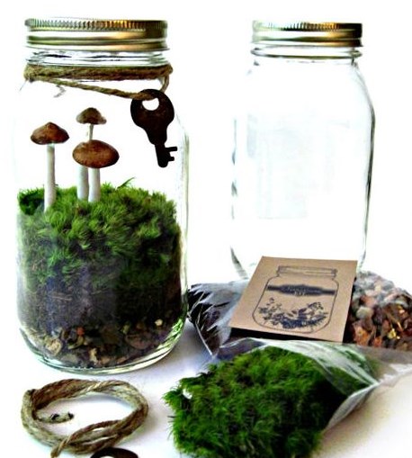 new-trend-terrarium