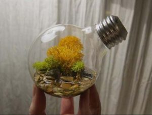 making-a-flower-pot-out-of-light-bulb-4