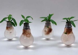 making-a-flower-pot-out-of-light-bulb-5