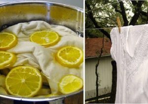 the-natural-whiteness-of-the-laundry-with-lemon-4