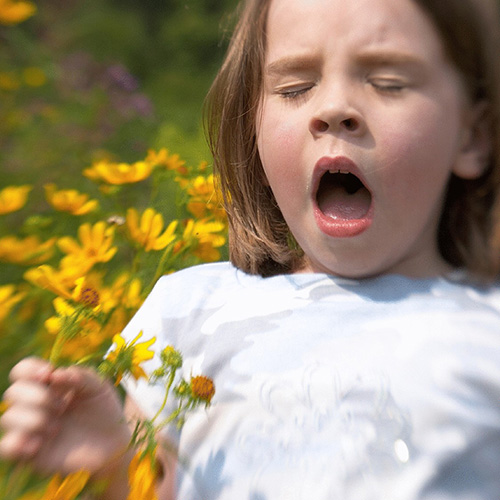 causes-allergies-babies