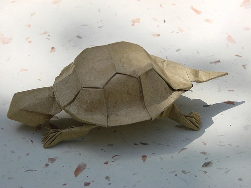 homemade-toy-turtle-patterns