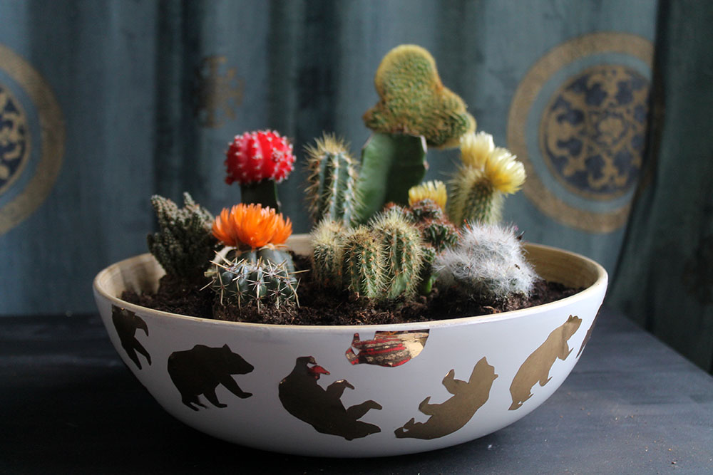 DIY Cactus Bowl Garden