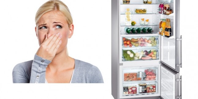 Elimination Of The Smell In Fridge