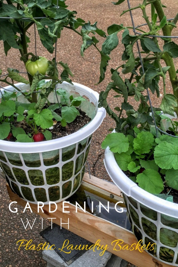 Laundry Basket Garden DIY – İDEAS