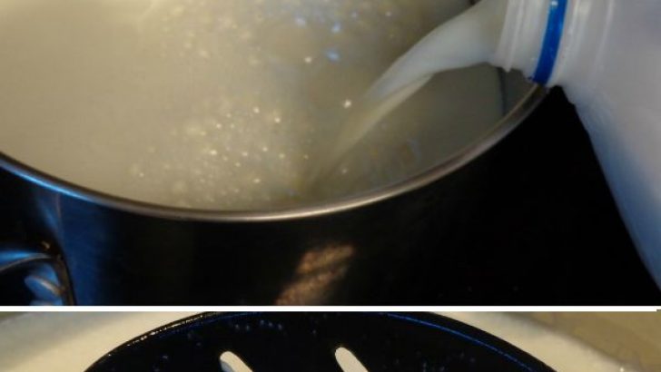 How To Make Mozzarella Cheese (in under 1 hour)