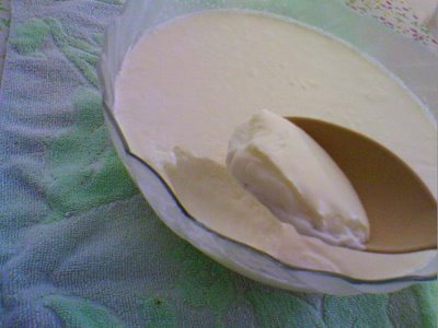 Making  yoghurt at home