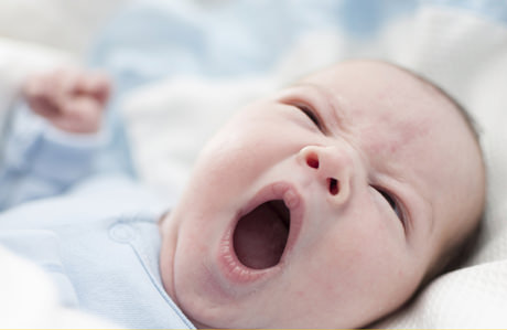 What Do the Body Language of Babies?