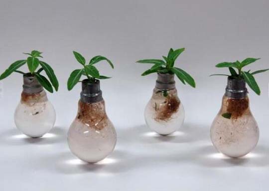 Making a flower pot out of light bulb