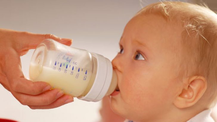 Baby Food Guideline