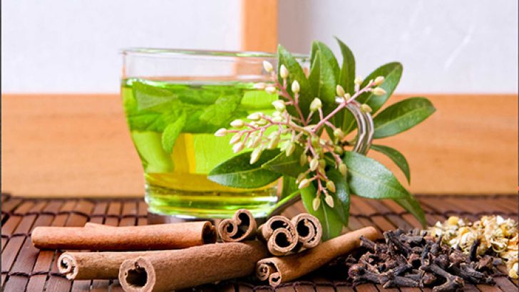 Herbal Teas for Children