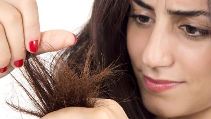 Causes and Solutions of Broken Hair End