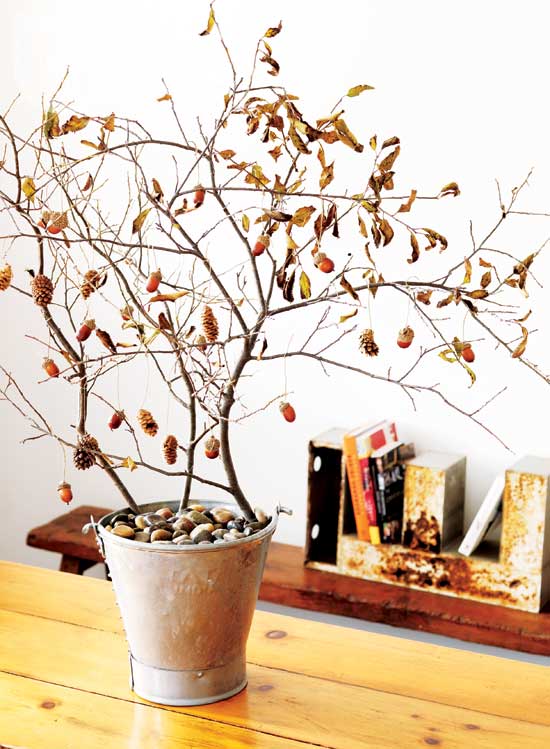 DIY Projects From Tree Branches