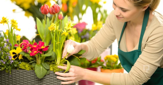 Flower Planting Tips