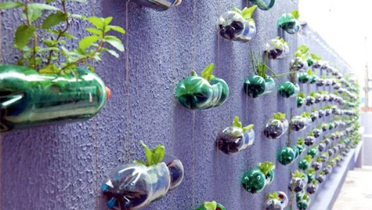 Making pots from Pet Bottle