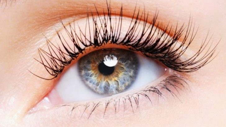 How to Grow Eyelashes
