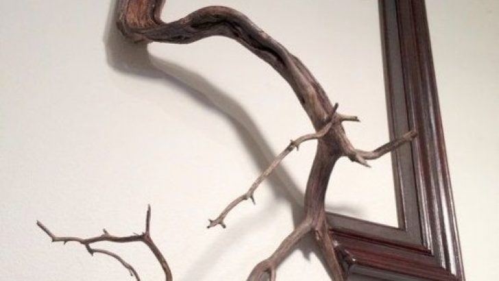 Interestingly Branch Frame Models