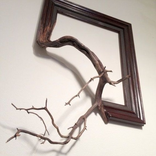 Interestingly Branch Frame Models