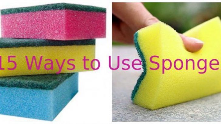 15 Ways to Use Sponges