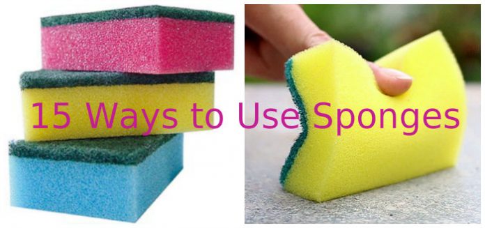 15 Ways to Use Sponges