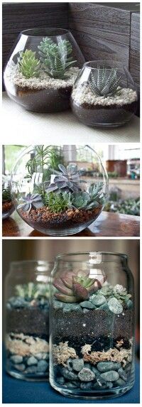 21 Simple Ideas For Adorable DIY Terrariums